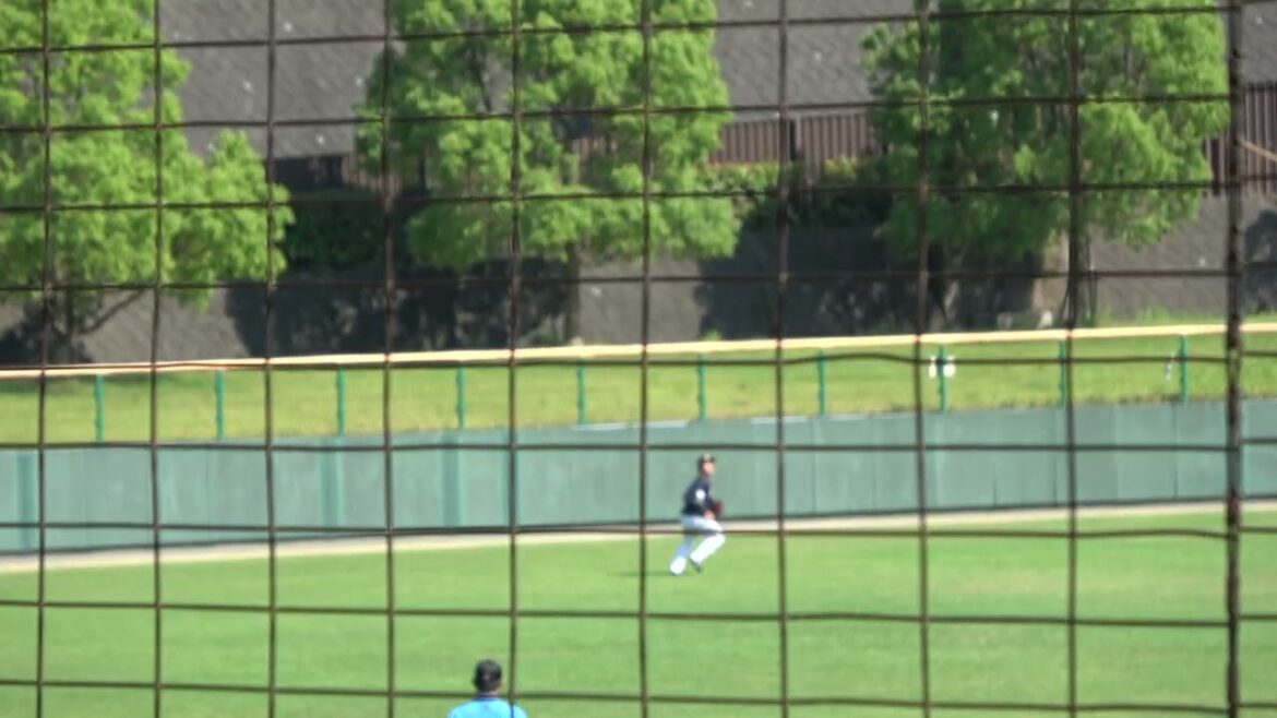 くふうハヤテベンチャーズ 仲村来唯也選手 第3打席 レフトフライ VS オリックスバファローズ 井口和朋投手 2024/7/4 ちゅーるスタジアム