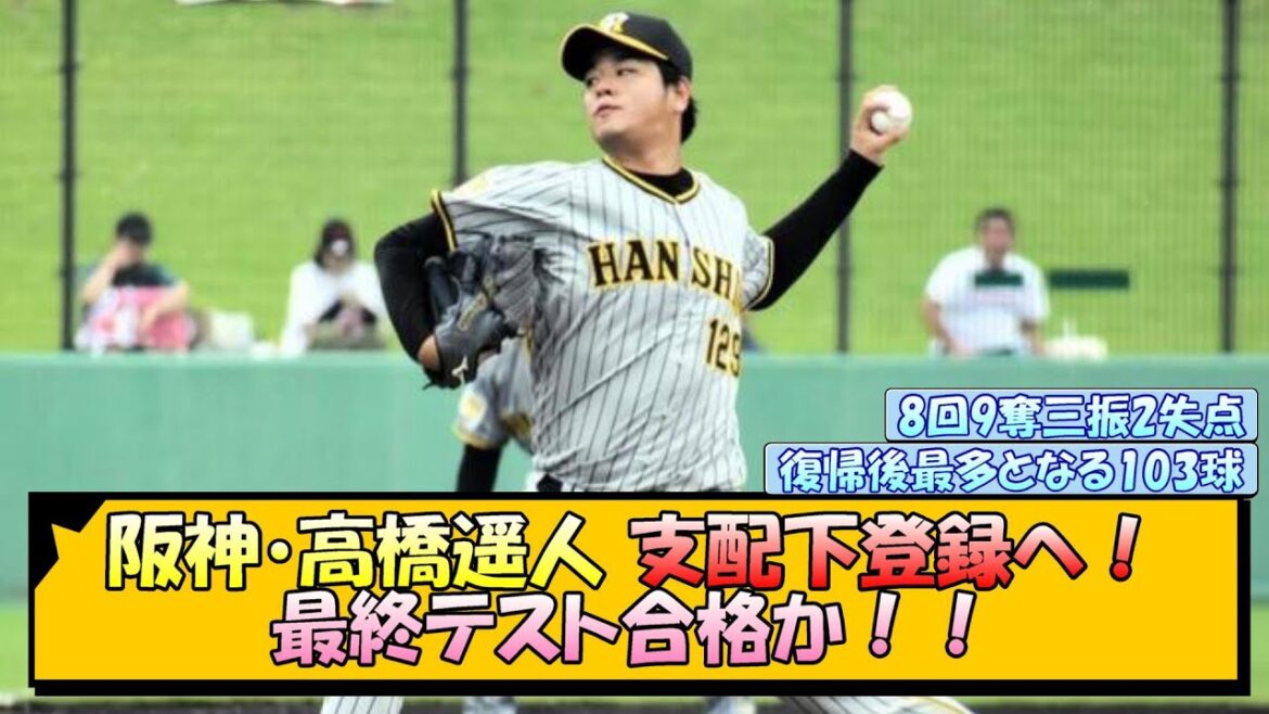 【阪神】高橋遥人 支配下登録へ！最終テスト合格か！【なんJ/2ch/5ch/ネット 反応 まとめ/阪神タイガース/岡田監督】