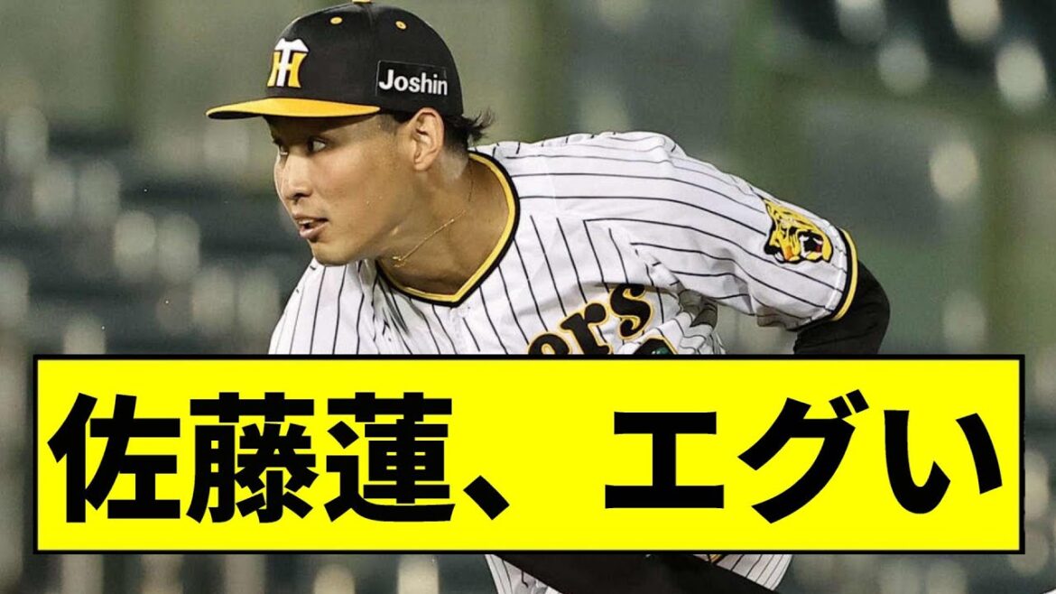 【阪神】育成の佐藤蓮がエグすぎるｗｗｗｗｗｗｗｗｗｗｗ【2chスレ】