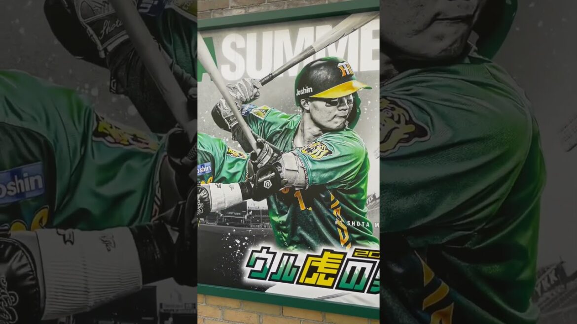 甲子園メモリアルウォール　ウル虎の夏2024年仕様に変更