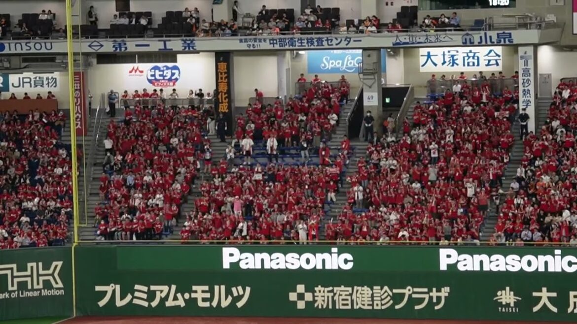 2024.6.28 カープ名物スクワット応援が最高！堂林翔太@東京ドーム