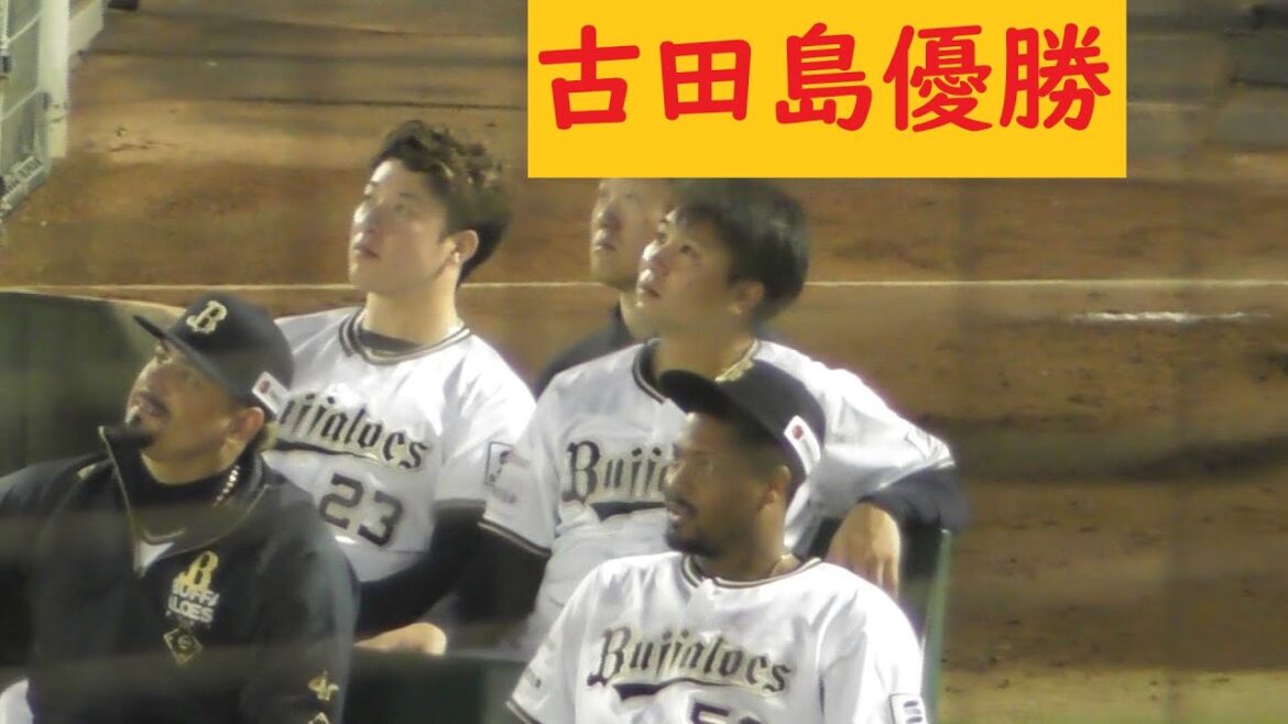 花火を見るブルペン陣 #Bs2024 #BsGravity #BsGirls #avex #ORIX #オリックスバファローズ #オリックス#プロ野球 #NPB #オリ姫 #ほっともっとフィールド神戸