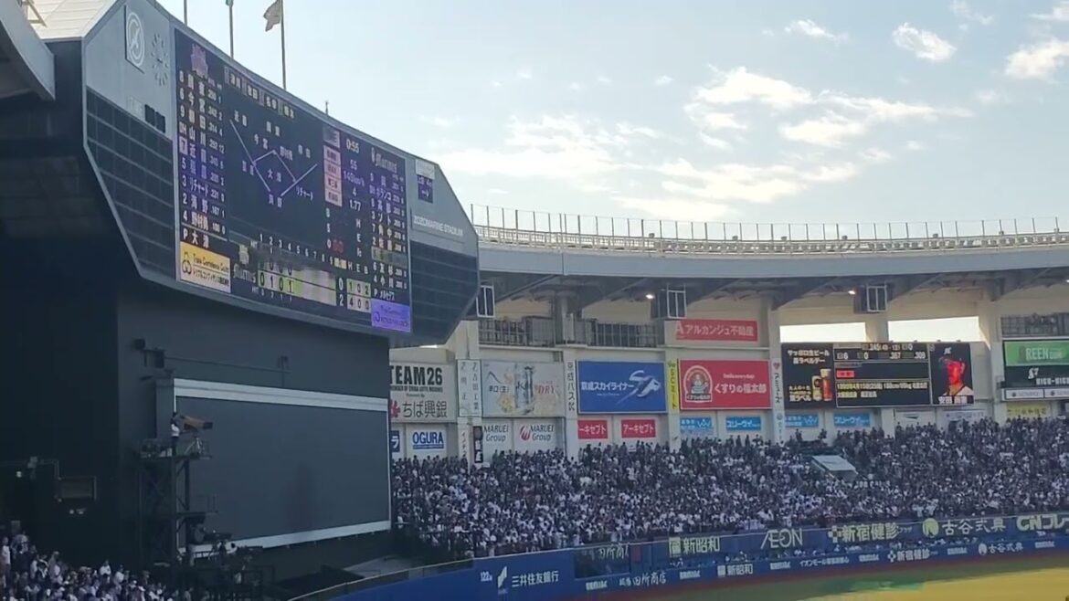 20240525　ﾜｯｼｮｲﾜｯｼｮｲ♪【安田尚憲 応援歌】4回ｳﾗ　千葉ﾛｯﾃﾏﾘｰﾝｽﾞ@ZOZOﾏﾘﾝｽﾀｼﾞｱﾑ･外野ﾚﾌﾄ