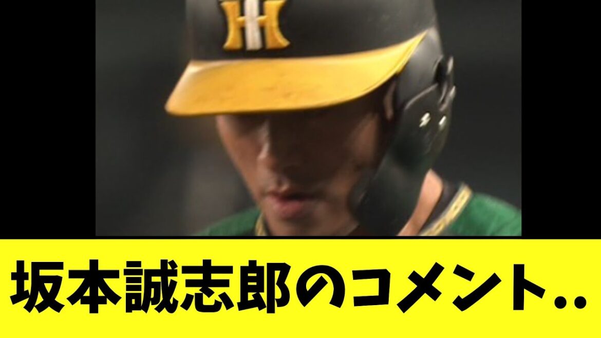 坂本誠志郎のコメント..