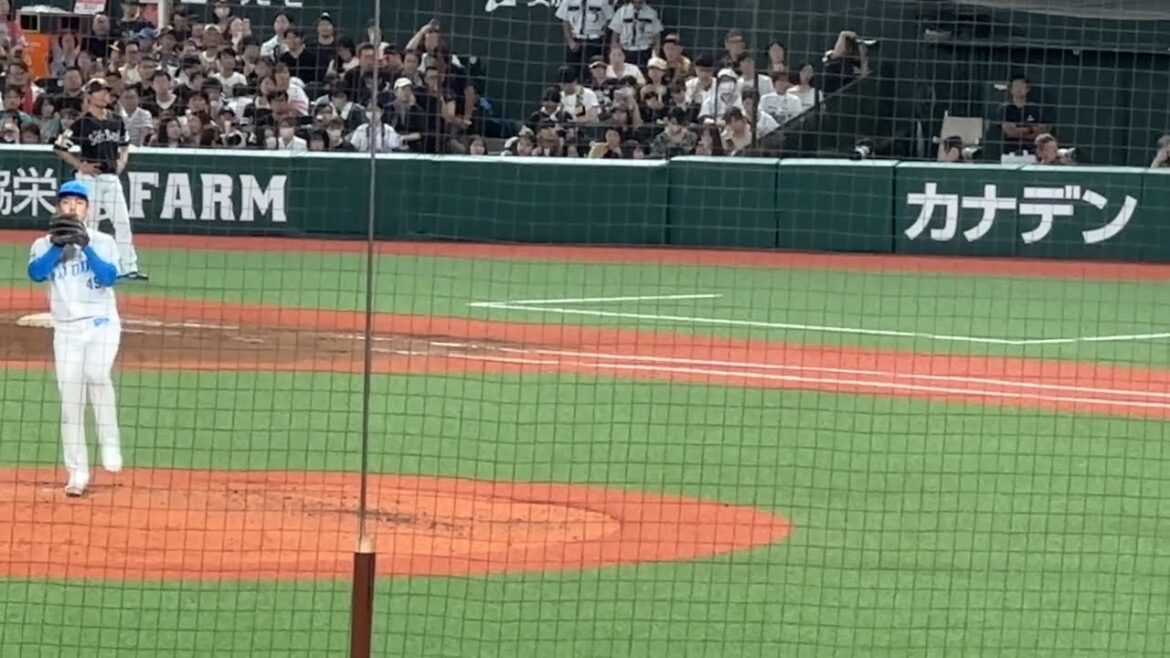 【試しに撮り方変えました】本田圭佑vs山川穂高(三振)、近藤健介(四球) 【西武vsソフトバンク】2024/7/19