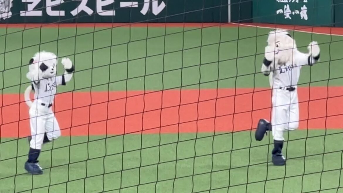 試合前によさこいソーラン節を踊ったりエアキャッチボールでふざけたりレスをくれたりするレオとライナ【西武vs 日本ハム】2024/7/2 ファーム