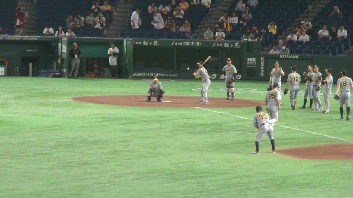 阪神タイガース 外野レフト側から見た守備練習の様子　熊谷敬宥4、佐藤輝明8、渡邉諒25、糸原健斗33、小幡竜平38、中野拓夢51、植田海62など　巨人 vs 阪神　2024年7月15日 東京ドーム