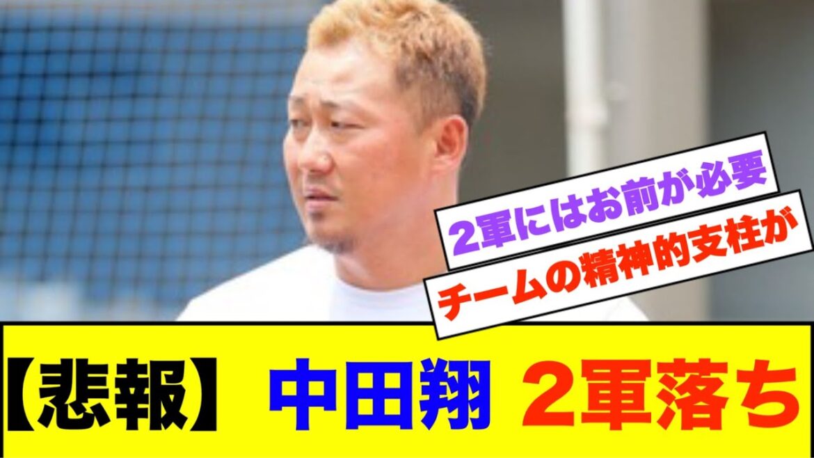 立浪監督 VS 堂上コーチ【なんJなんG野球反応】【2ch 5ch】