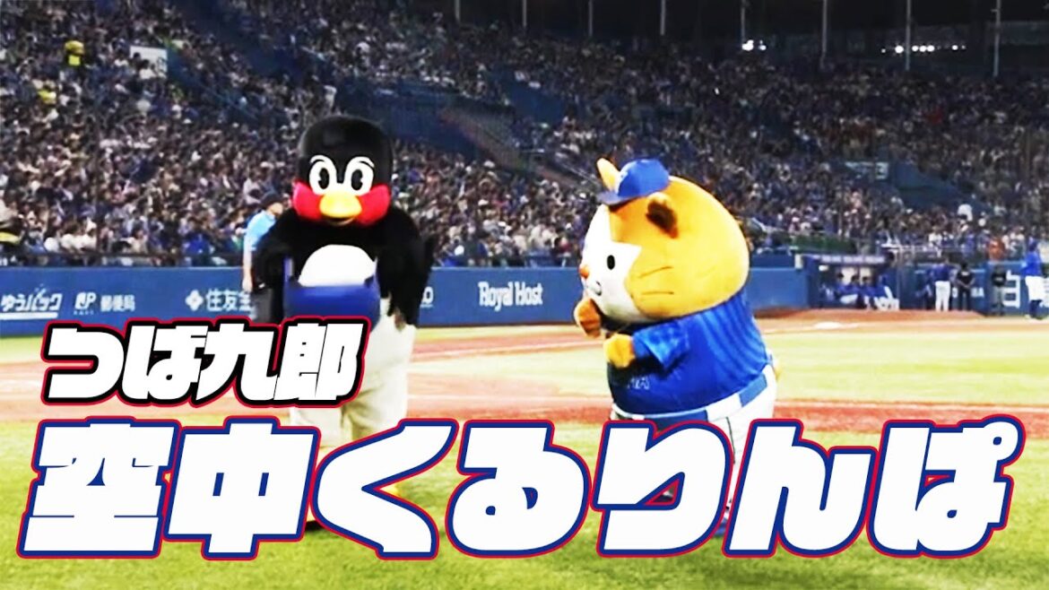 DB.スターマンと挑戦！つば九郎空中くるりんぱ｜2024年7月20日 横浜DeNA戦（神宮球場）