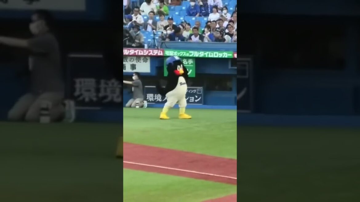 つば九郎、ヘルメットを投げつける #東京ヤクルトスワローズ #横浜denaベイスターズ #shorts