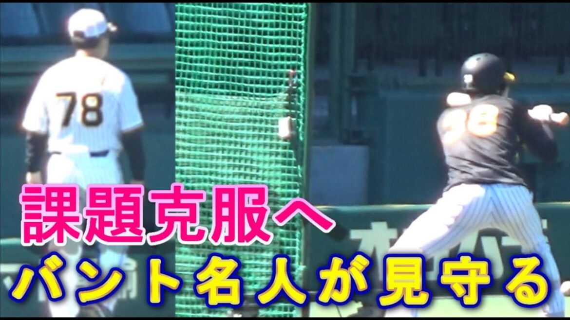 阪神タイガース 試合前練習②〈バント・走塁〉2024.7.5