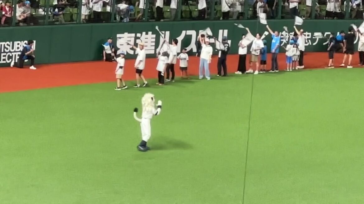 フラッグ応援隊がたくさん出てくる『吠えろライオンズ』【西武vs DeNA】2024/6/14 セパ交流戦16戦目 フラッグ応援隊がたくさん出てくる『吠えろライオンズ』【西武vs DeNA】2024/6/14 セパ交流戦16戦目