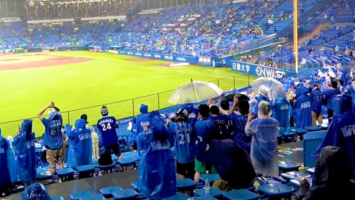 【チャンテ→コーチ陣応援歌】雨天中断中の応援歌メドレー！ 横浜DeNAベイスターズ 2024/7/20