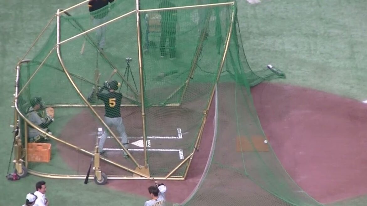 タイガース近本光司のフリーバッティング（2024年7月16日読売ジャイアンツ対 阪神タイガース）