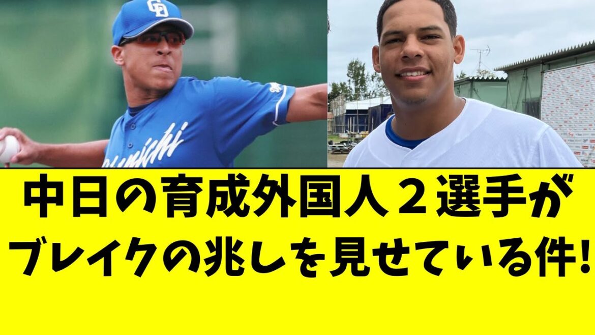 【中日】育成外国人選手２名、ブレイクの兆しを見せている件