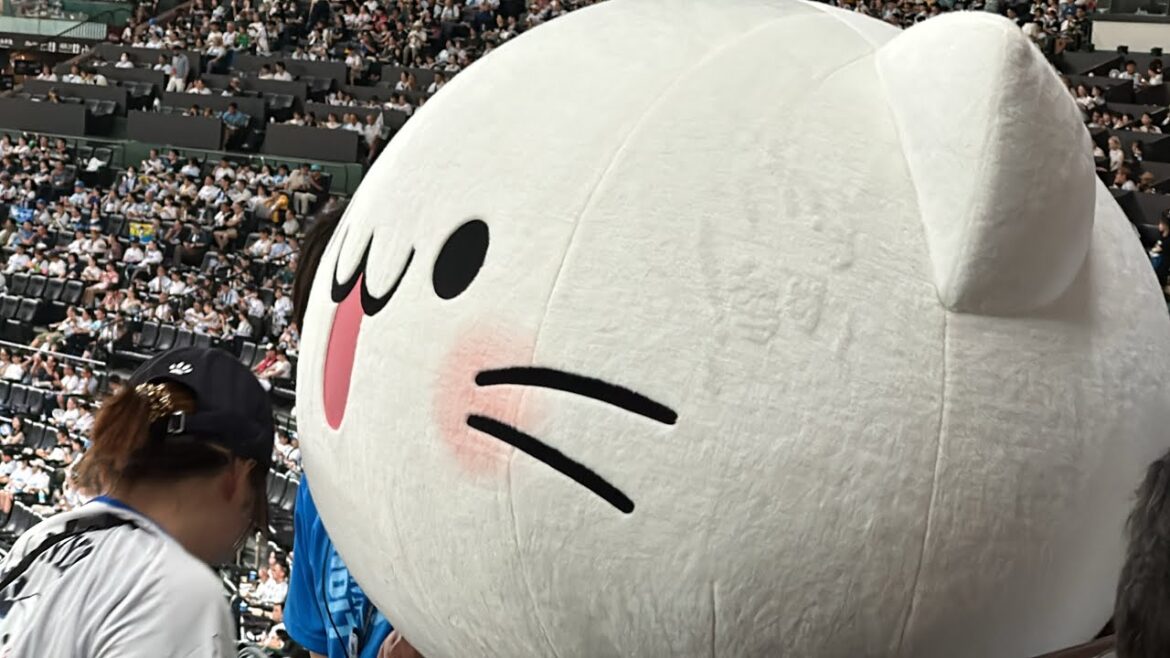 【べるーにゃドームデー】オルガンクラップタイムを盛り上げるためにキツい階段の登り降りをがんばっている べるーにゃ【西武vsソフトバンク】2024/7/20