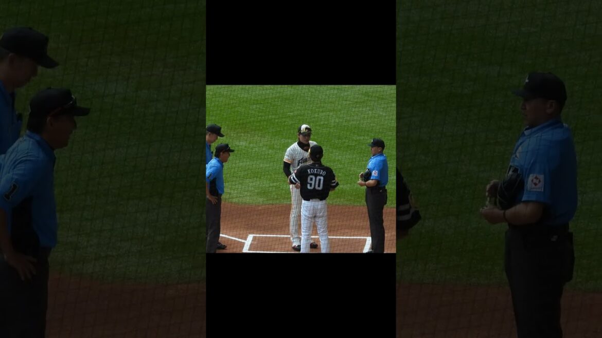 【20240714】メンバー表交換(新庄剛志と小久保裕紀) 【20240714】メンバー表交換(新庄剛志と小久保裕紀)