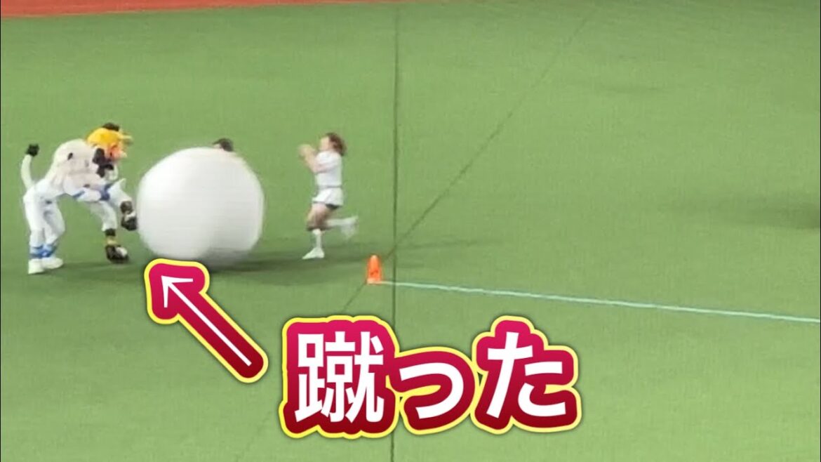 ハリーホーク大反則! パフォーマー交流戦 大玉転がし リレーはライオンズの圧勝!【西武vsソフトバンク】2024/7/20 ハリーホーク大反則! パフォーマー交流戦 大玉転がし リレーはライオンズの圧勝!【西武vsソフトバンク】2024/7/20