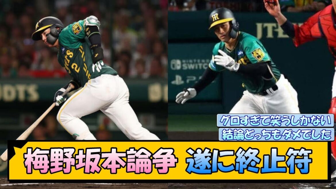 【阪神】梅野坂本論争、遂に終止符【なんJ/2ch/5ch/ネット 反応 まとめ/阪神タイガース/岡田監督/梅野隆太郎/坂本誠志郎】