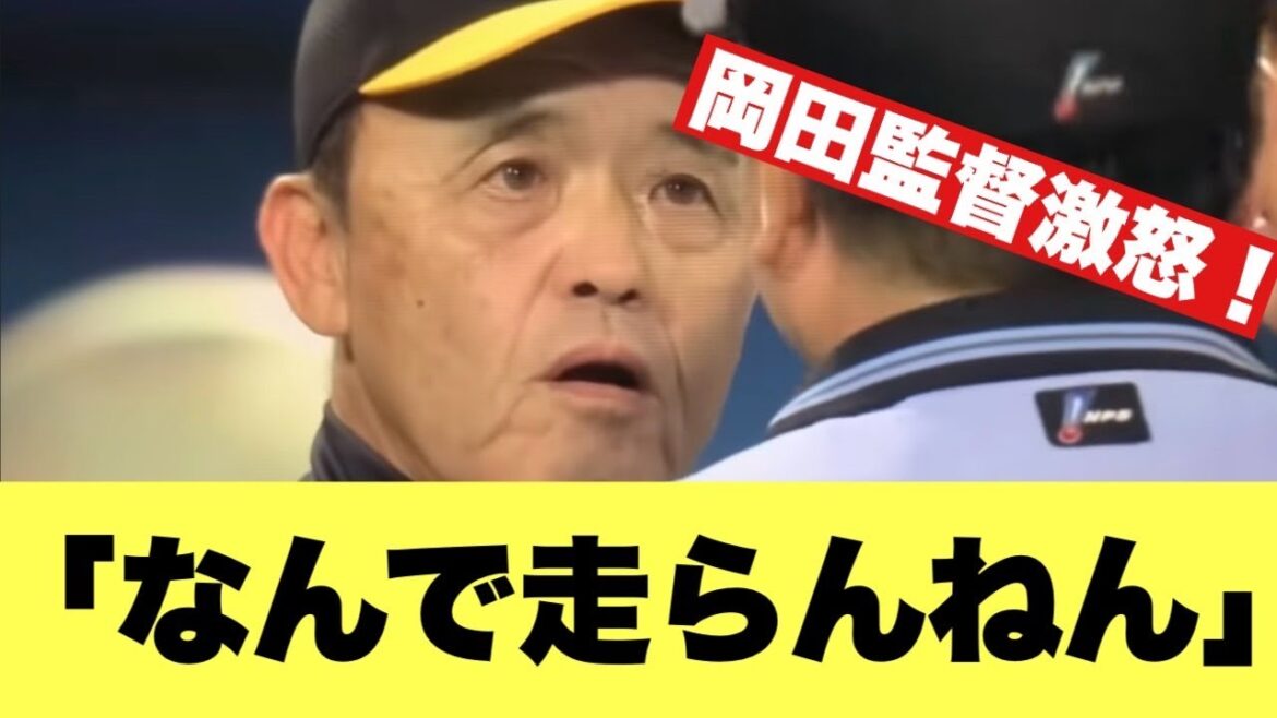 【動画あり】阪神岡田監督、激怒!!走らない選手に苦言!【2ちゃんねる反応集】【プロ野球反応まとめ】【阪神タイガース】 【動画あり】阪神岡田監督、激怒!!走らない選手に苦言!【2ちゃんねる反応集】【プロ野球反応まとめ】【阪神タイガース】