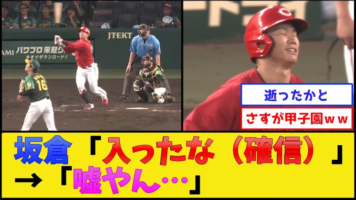 カープ坂倉、浜風にいじめられる【広島東洋カープvs阪神タイガース】【プロ野球なんJ 2ch プロ野球反応集】