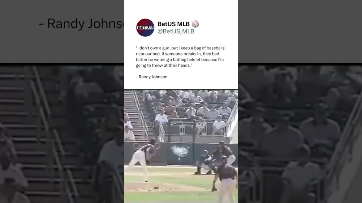 Randy Johnson Hits Bird #Shorts