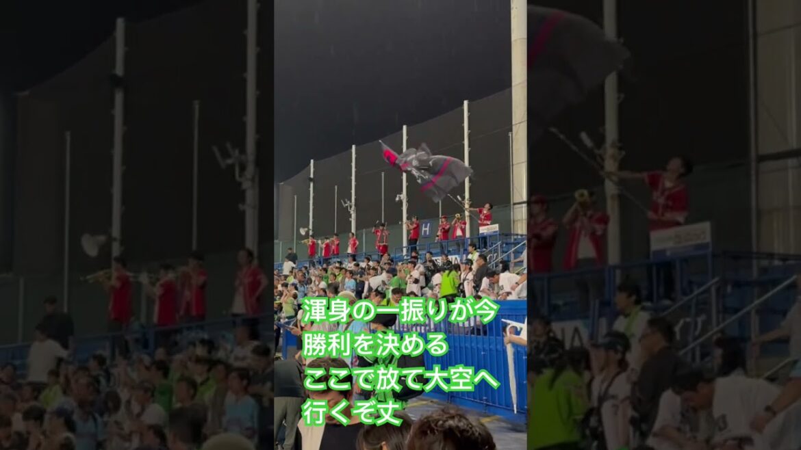 20240716二次会宮本丈 応援歌 東京ヤクルトスワローズ in 明治神宮野球場 #プロ野球 #応援歌 #ヤクルト