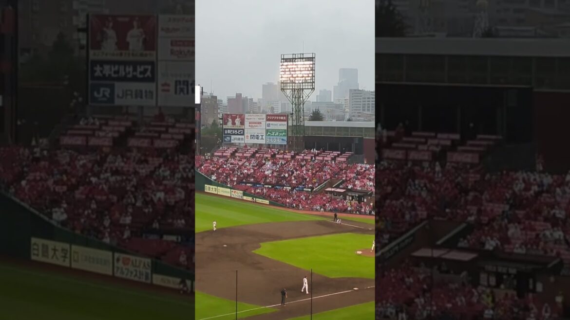 大雨の楽天モバイルパークに響く長谷川信哉の応援歌。