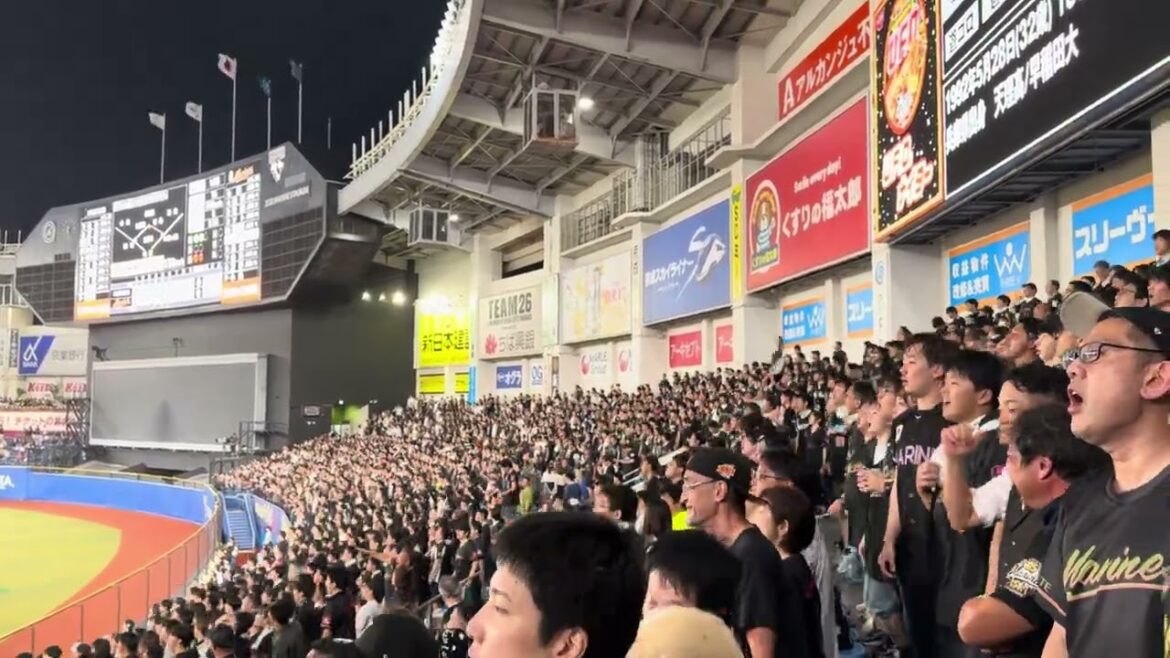 チャンステーマ5 BLACK SUMMER WEEK 2024/7/19 ロッテ vs ファイターズ #chibalotte