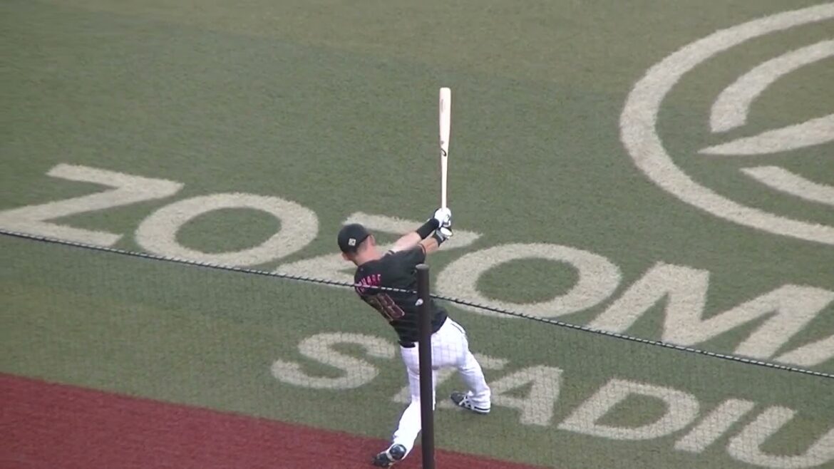 【マリーンズ】藤岡裕大や石川慎吾がベンチ前で素振り 2024年7月19日 千葉ロッテマリーンズ対 北海道日本ハムファイターズ