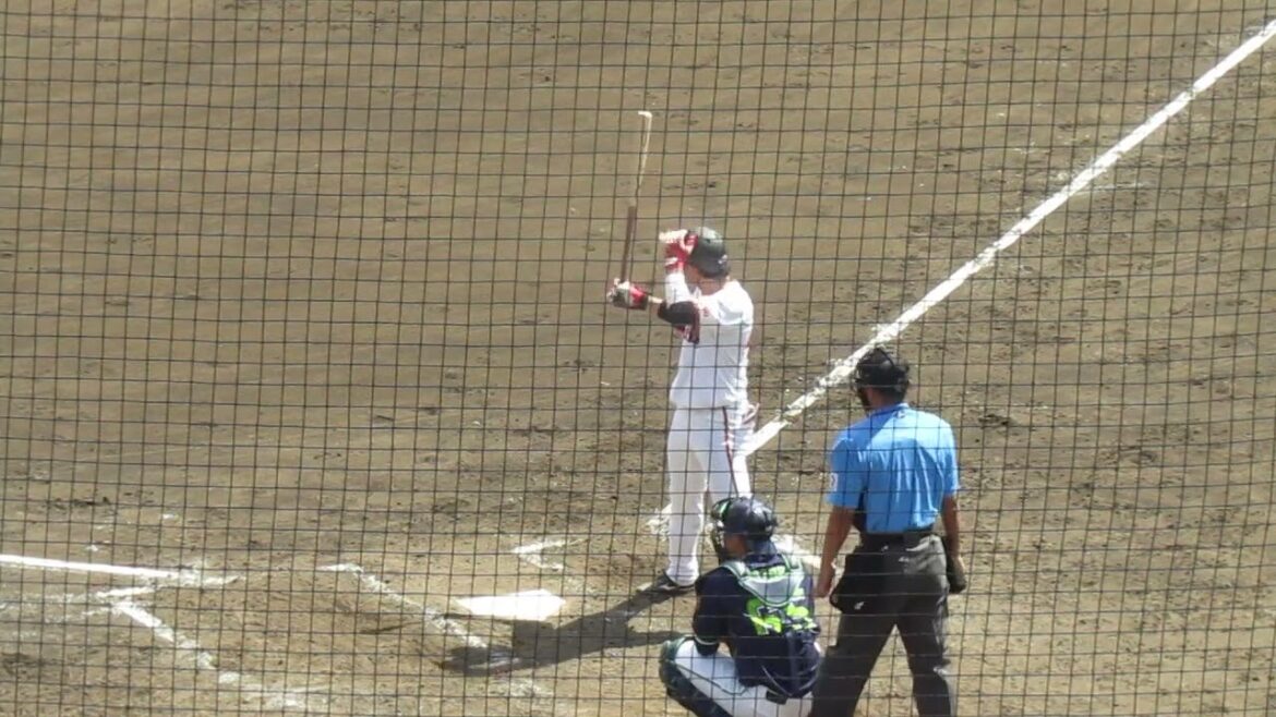【巨人】中山礼都の打撃フォーム2024年5月29日 読売ジャイアンツ対ヤクルトスワローズ