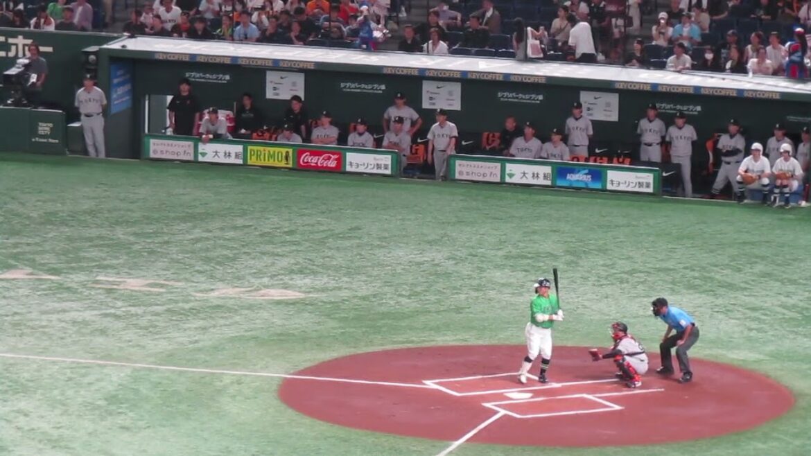 ヤクルト丸山和郁を打ち取った時の巨人のベンチ（2024年6月22日 読売ジャイアンツ対ヤクルトスワローズ）