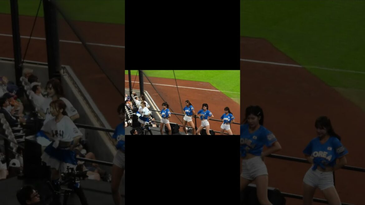 【20240722】日韓ドリームプレーヤーズゲーム＃韓国チア＃韓国SSGランダーズ＃コラボダンス＃ファイターズガール＃コラボ