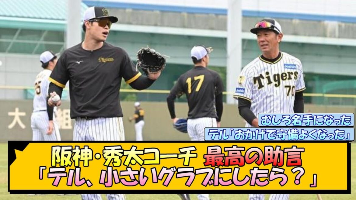 【阪神】秀太コーチ 最高の助言「テル、小さいグラブにしたら？」【なんJ/2ch/5ch/ネット 反応 まとめ/阪神タイガース/岡田監督】