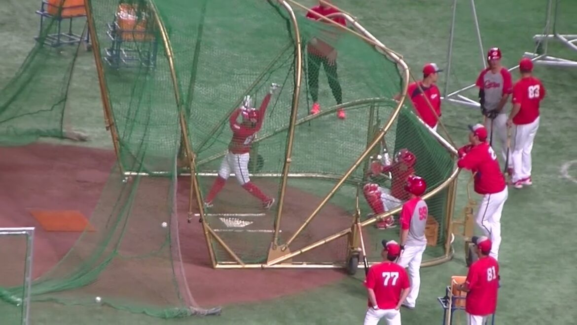 広島 羽月隆太郎のフリーバッティング（2024年6月28日読売ジャイアンツ対 広島カープ）