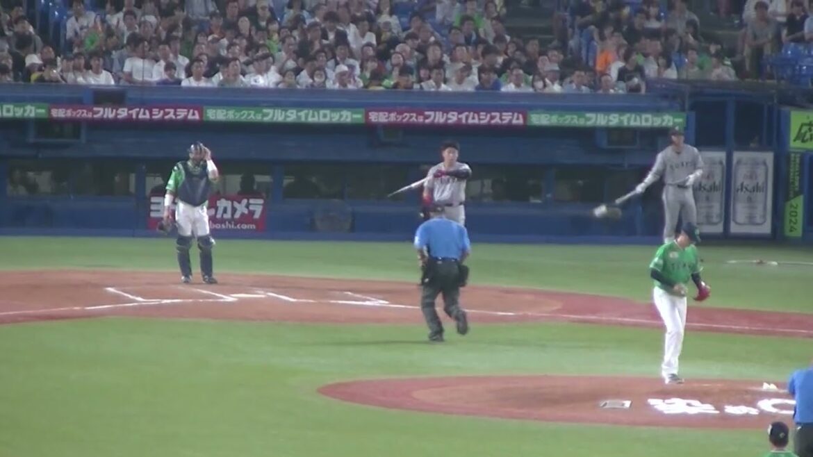 岡本和真を打ち取る石山泰稚（2024年7月5日ヤクルトスワローズ対 読売ジャイアンツ）