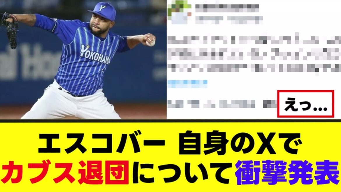 【エスコバー】カブス退団の裏側を日本語で発表！