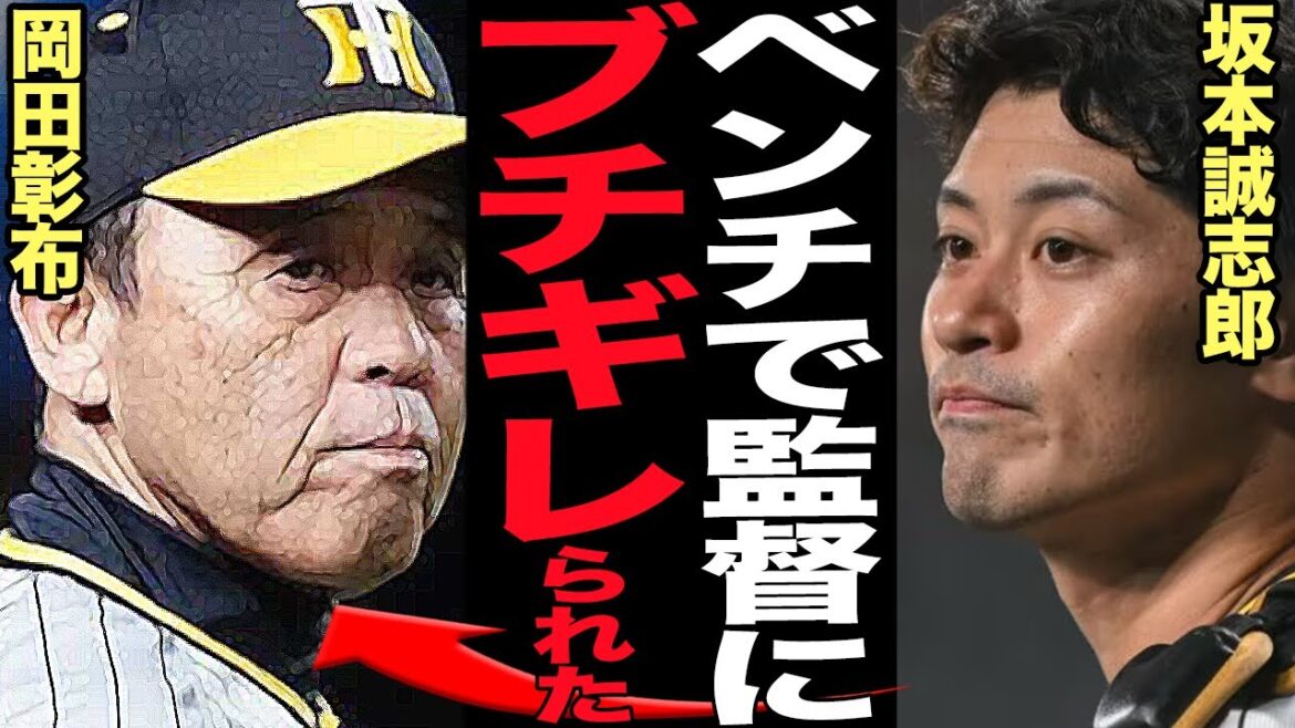 岡田彰布が坂本誠志郎に怒声、ベンチでマジギレした真相に言葉を失う…！！昨年阪神を日本一に導いた功労者的存在だった捕手が今季低迷、怠慢プレーと精細を欠き続けている理由に絶句【プロ野球】