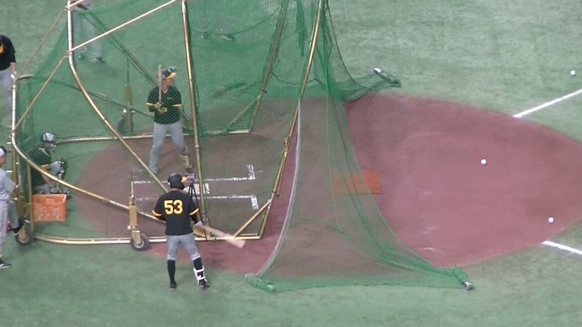 タイガース藤田健斗のフリーバッティング（2024年7月16日読売ジャイアンツ対 阪神タイガース）