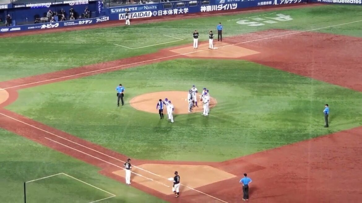 20240607　代打の嶺井博希のﾊﾞｯﾃｨﾝｸﾞ打撃　ピッチャー強襲のサードゴロでした　8回表　福岡ｿﾌﾄﾊﾞﾝｸﾎｰｸｽ@横浜ｽﾀｼﾞｱﾑ･ｳｨﾝｸﾞ席 ﾊﾏｽﾀ  日本生命ｾ･ﾊﾟ交流戦