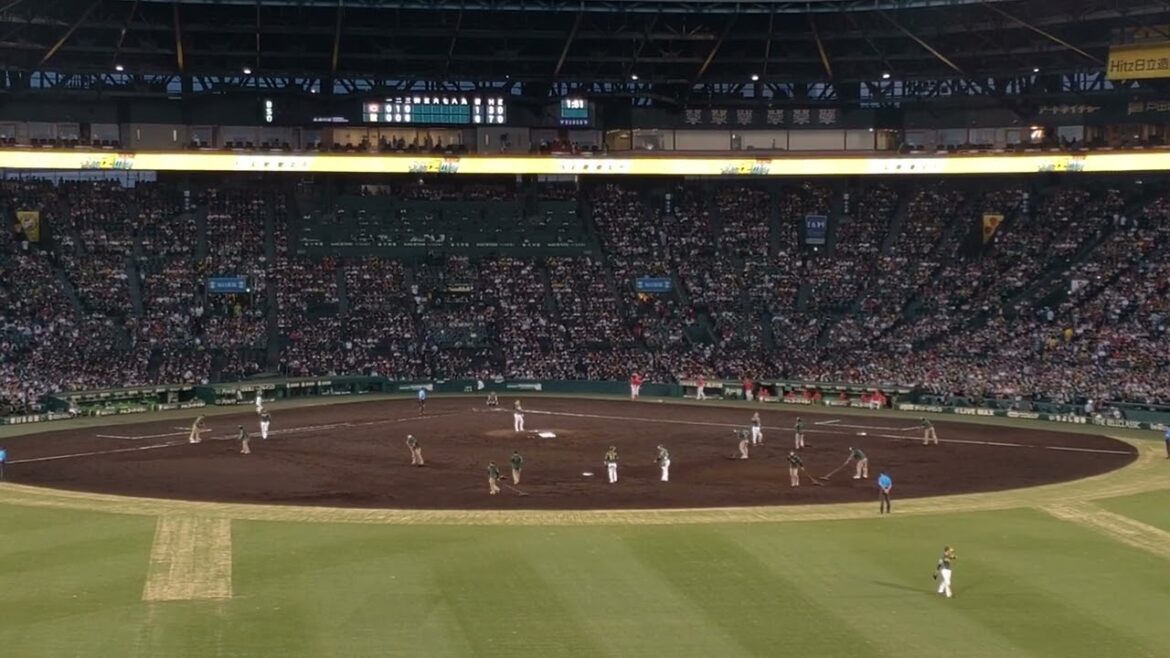 中野・テル・大山・右京・木浪・梅野コール