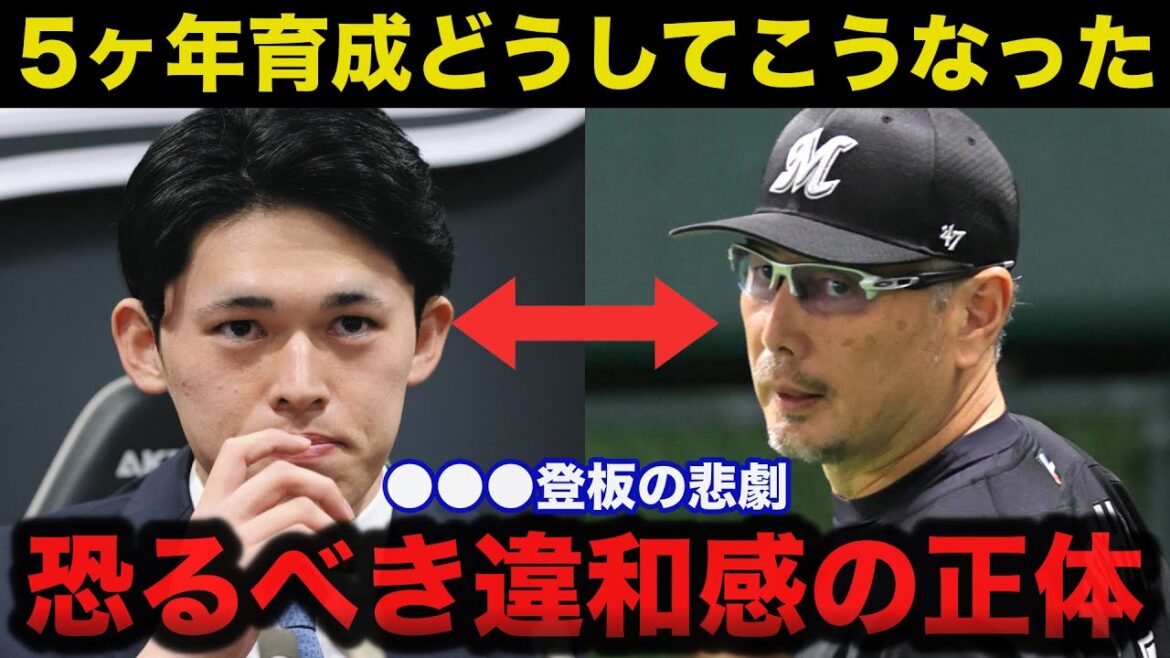 【徹底検証】佐々木朗希.5ヶ年育成計画は失敗だったのか...佐々木に対する吉井監督の本音が泣ける【千葉ロッテマリーンズ】