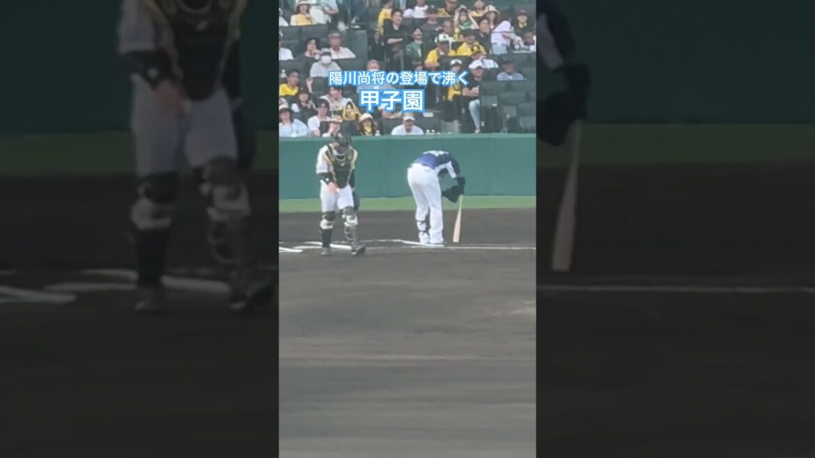 #陽川尚将 凱旋