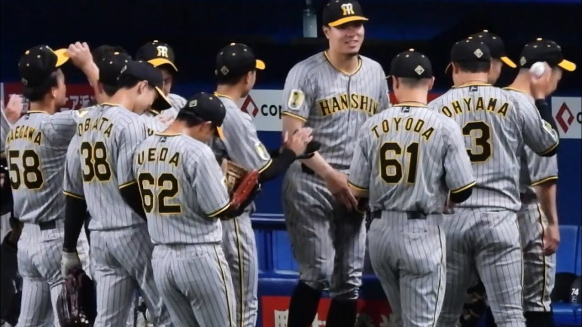 【ゴリゴリ押すな！】お互いに体をぶつけて突然押し合いバトルを始める植田海と小幡竜平。同級生の野口とは叩き合いしてイチャイチャする小幡