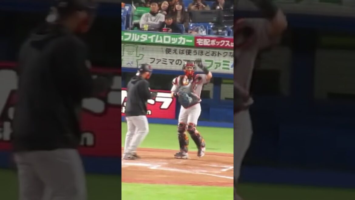 タイムリーの小林誠司 スタンドの声援に応える（ ヤクルトスワローズ対 読売ジャイアンツ2024年4月11日）
