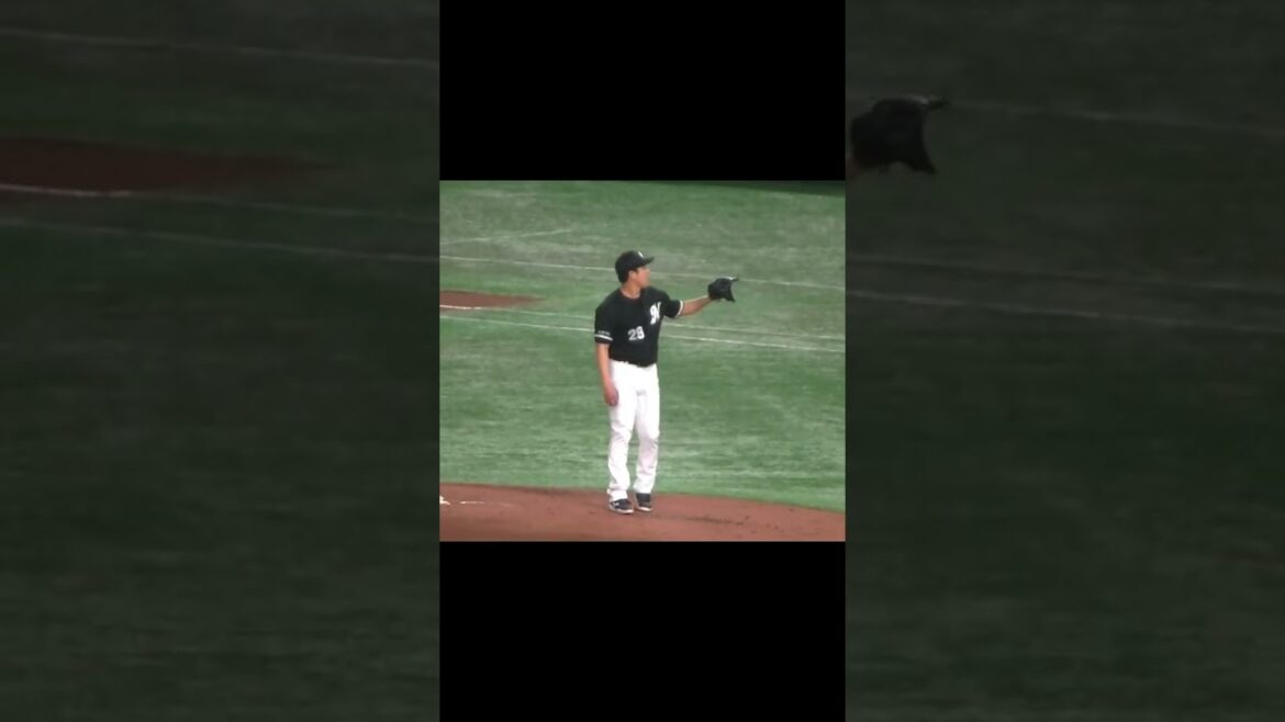 【野球選手フォーム集】千葉ロッテ西野勇士の投球フォーム2024年3月19日