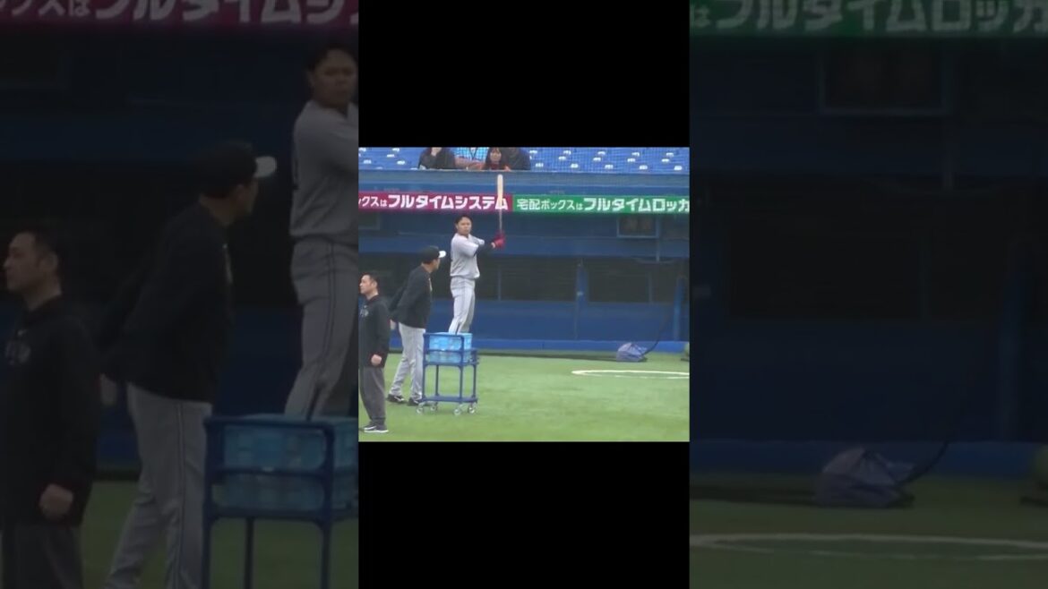 ひたすらバント練習する中山礼都（ヤクルトスワローズ対 読売ジャイアンツ2024年4月11日）