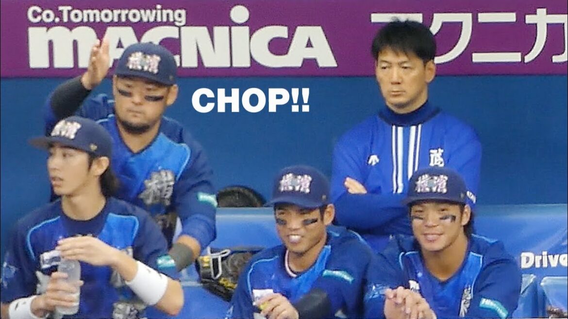 【なかよし】度会くんにチョップする戸柱選手【横浜DeNAベイスターズ 2024/7/15 キッズスターナイト】 【なかよし】度会くんにチョップする戸柱選手【横浜DeNAベイスターズ 2024/7/15 キッズスターナイト】