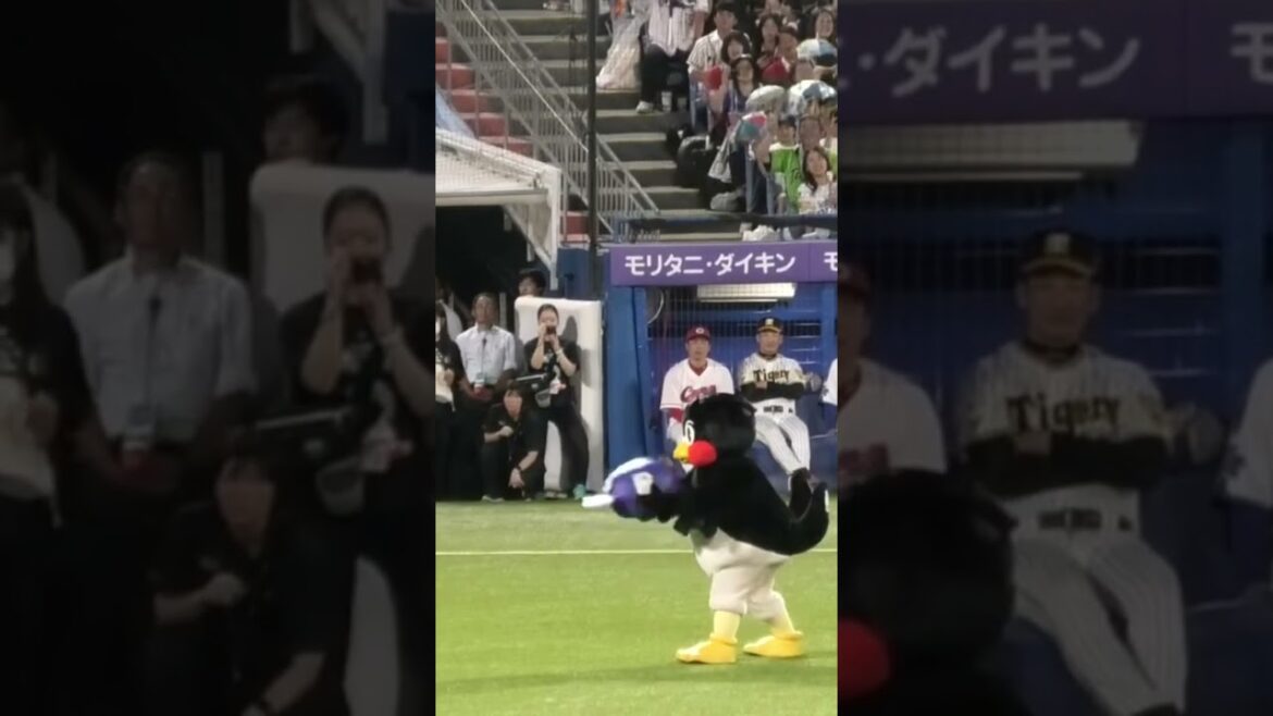 【オールスター2024】つば九郎の空中くるりんぱ #東京ヤクルトスワローズ  #オールスター2024 #shorts
