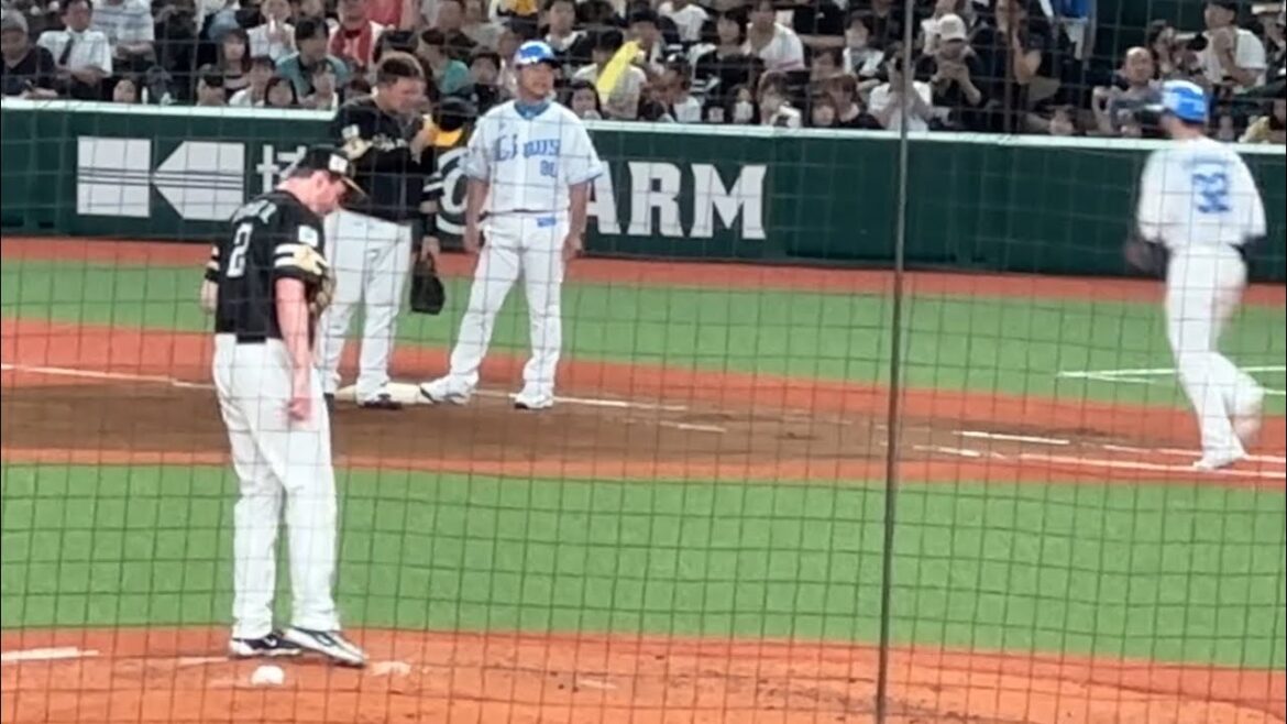 スチュワートJr.が山村崇嘉にデッドボール➡︎山川穂高が「ごめん」と帽子を取って謝罪【西武vsソフトバンク】2024/7/19